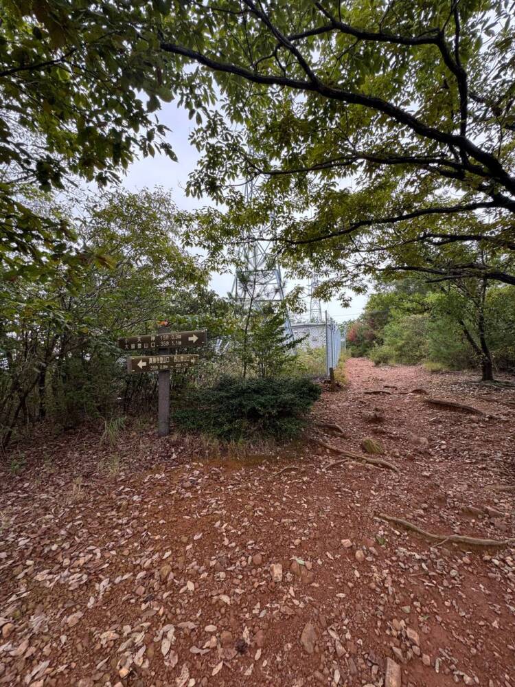 沢山の登山道、山頂からはアルプスの山も見れる地元に愛された山『鳩吹山』