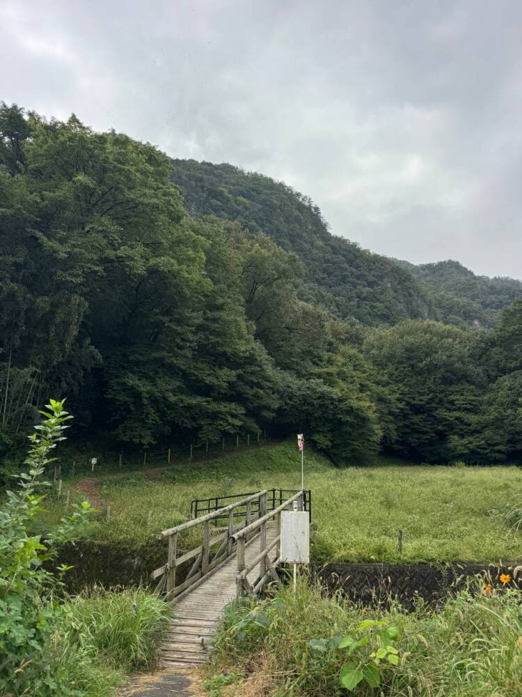 沢山の登山道、山頂からはアルプスの山も見れる地元に愛された山『鳩吹山』