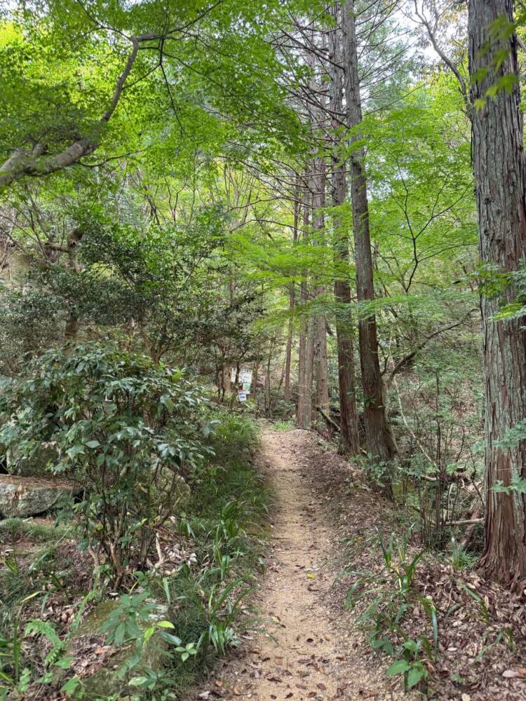 お手軽に60mの岸壁に立てるスリリングな登山 『百丈岩』がスゴイ