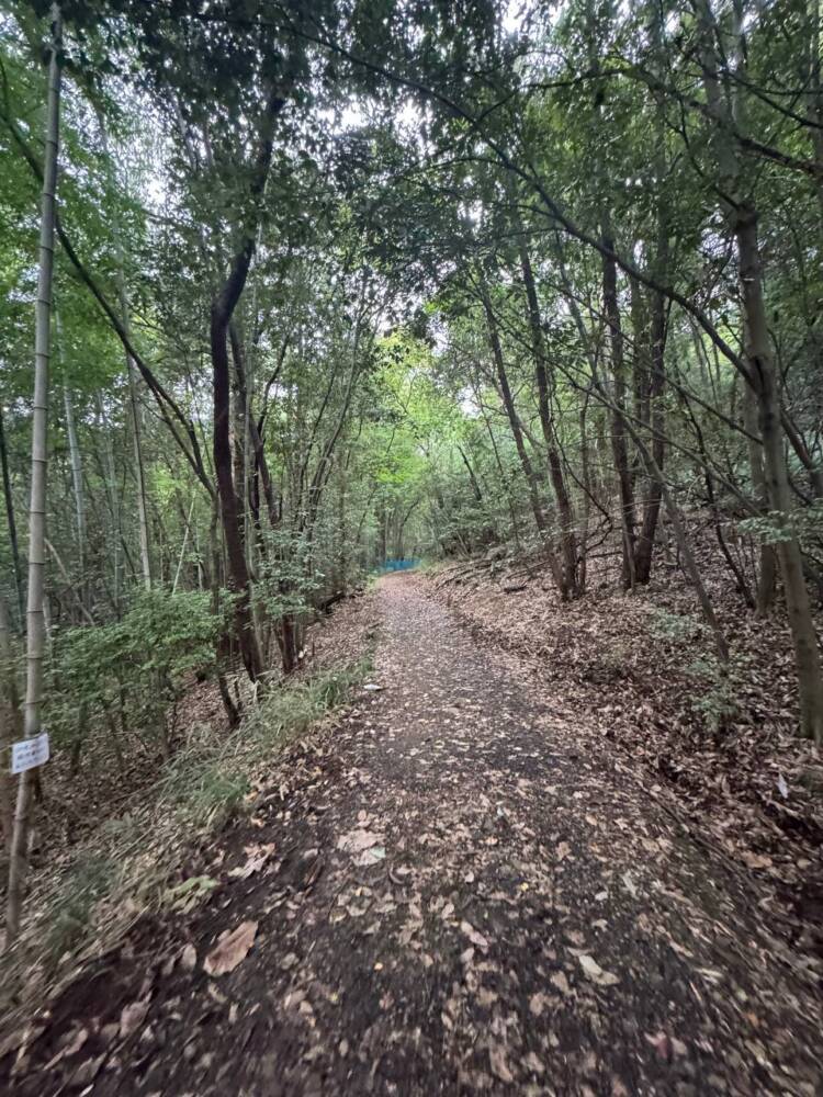 3つの山をお手軽に縦走登山が楽しめる人気の山『春日井三山』