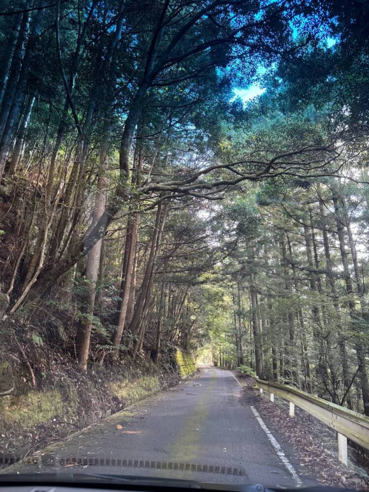 過去一番に精神的に辛かった登山になった『大塔山』