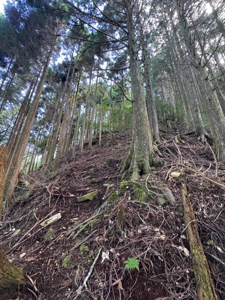 過去一番に精神的に辛かった登山になった『大塔山』