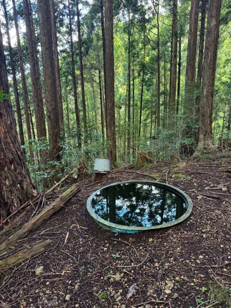 過去一番に精神的に辛かった登山になった『大塔山』