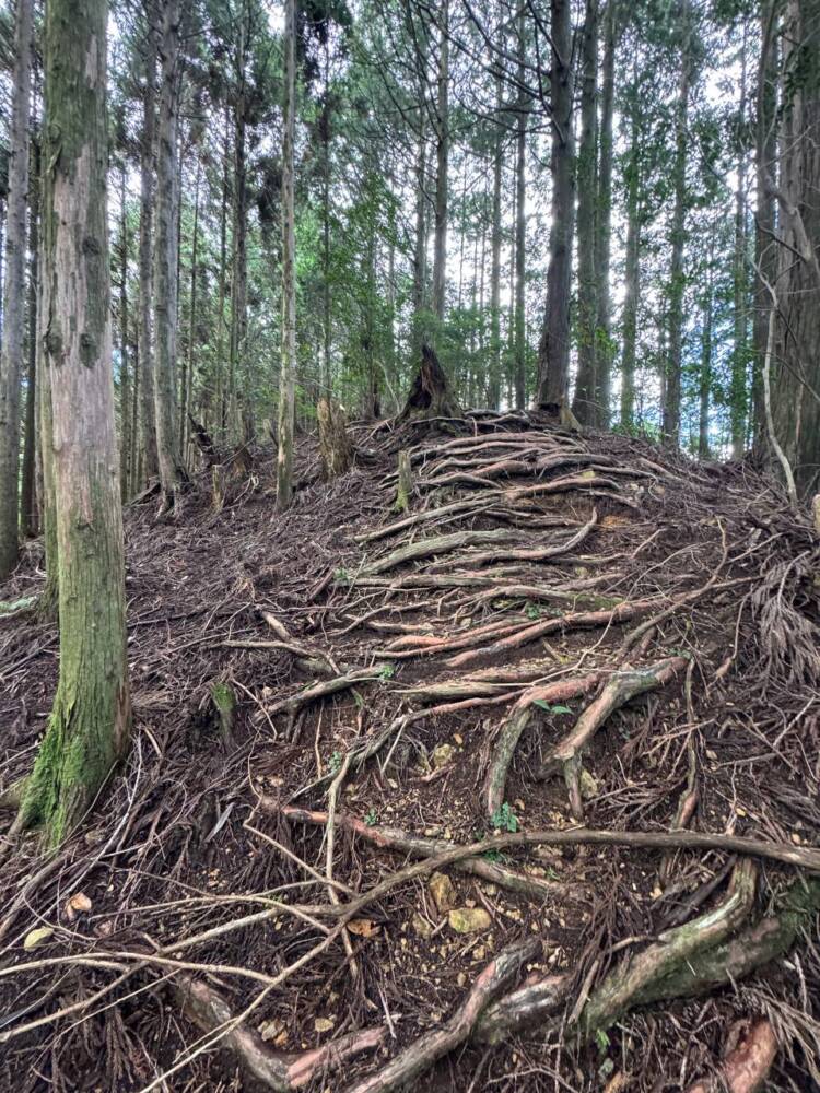 過去一番に精神的に辛かった登山になった『大塔山』