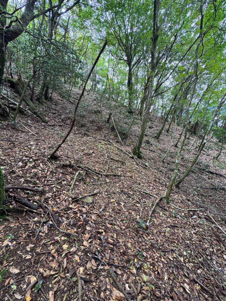 過去一番に精神的に辛かった登山になった『大塔山』