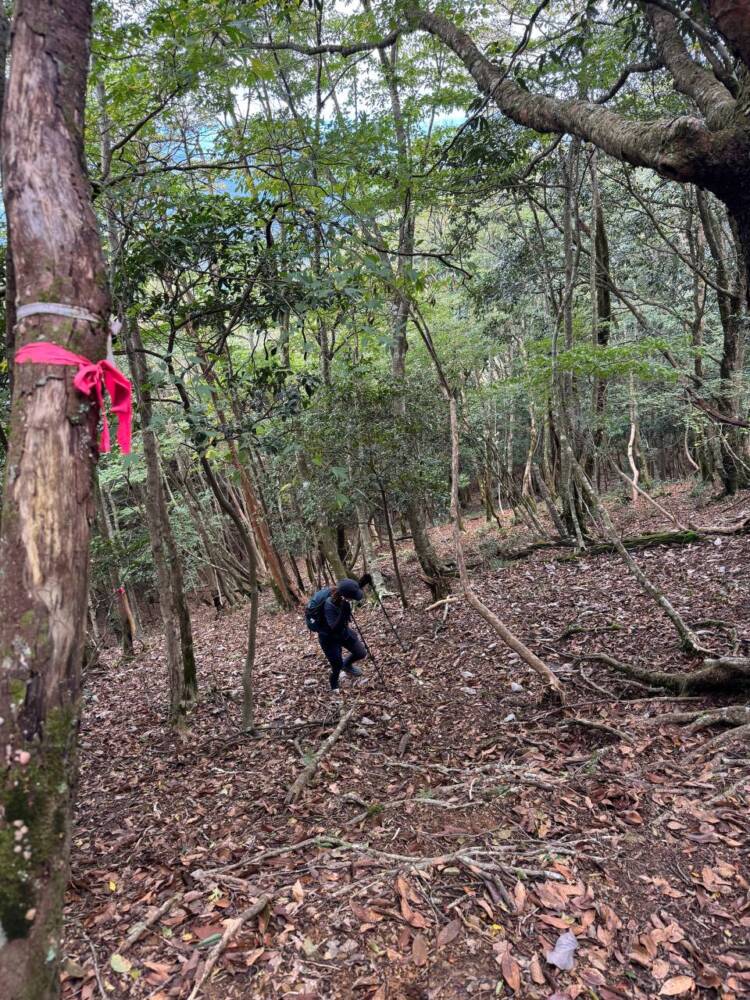 過去一番に精神的に辛かった登山になった『大塔山』