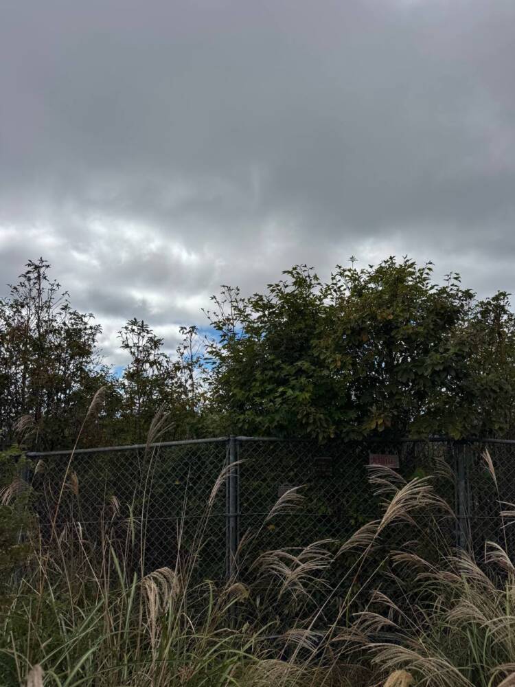 過去一番に精神的に辛かった登山になった『大塔山』