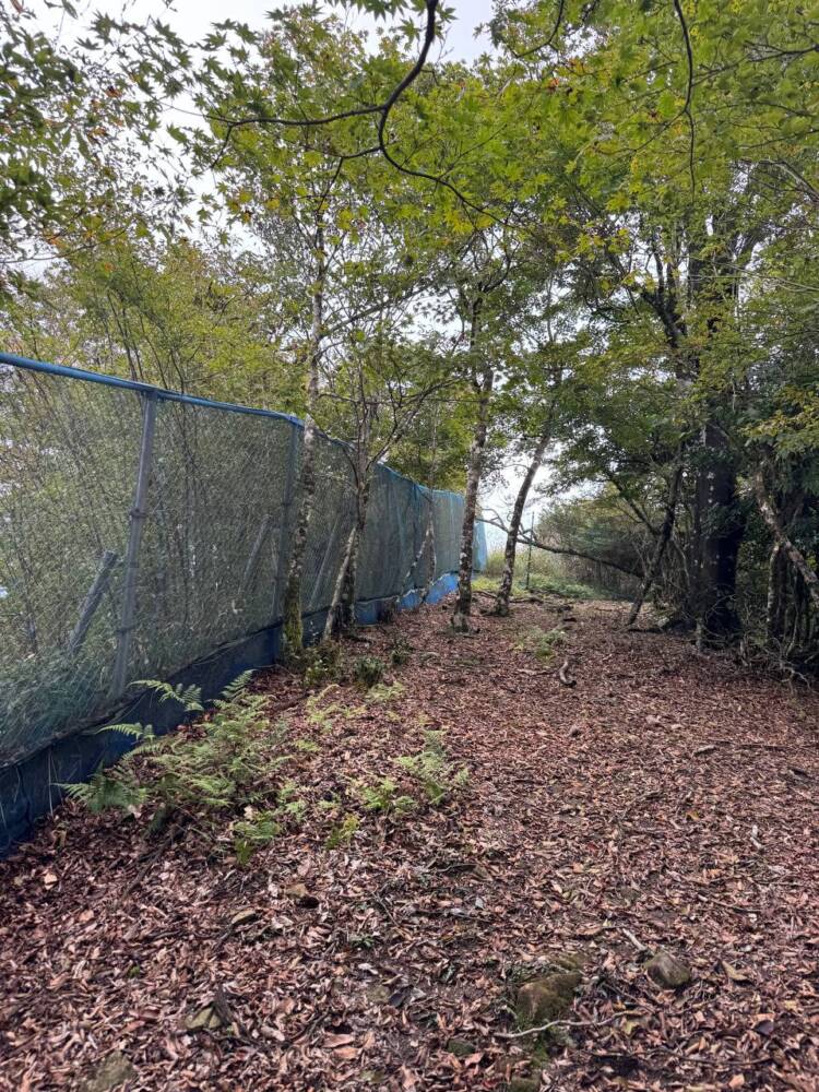 過去一番に精神的に辛かった登山になった『大塔山』