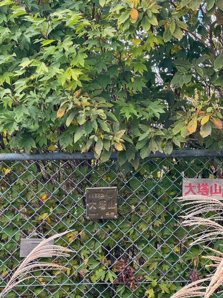 過去一番に精神的に辛かった登山になった『大塔山』