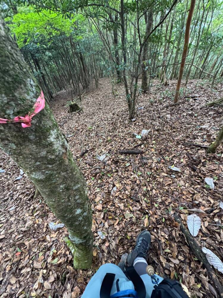 過去一番に精神的に辛かった登山になった『大塔山』