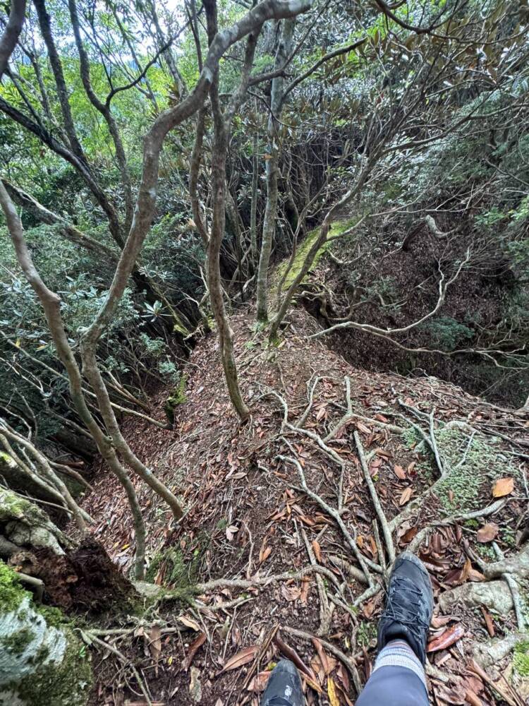 過去一番に精神的に辛かった登山になった『大塔山』