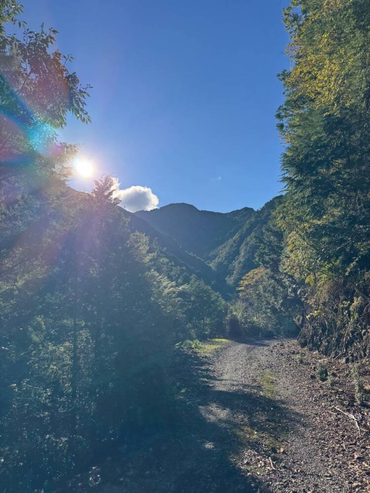 過去一番に精神的に辛かった登山になった『大塔山』