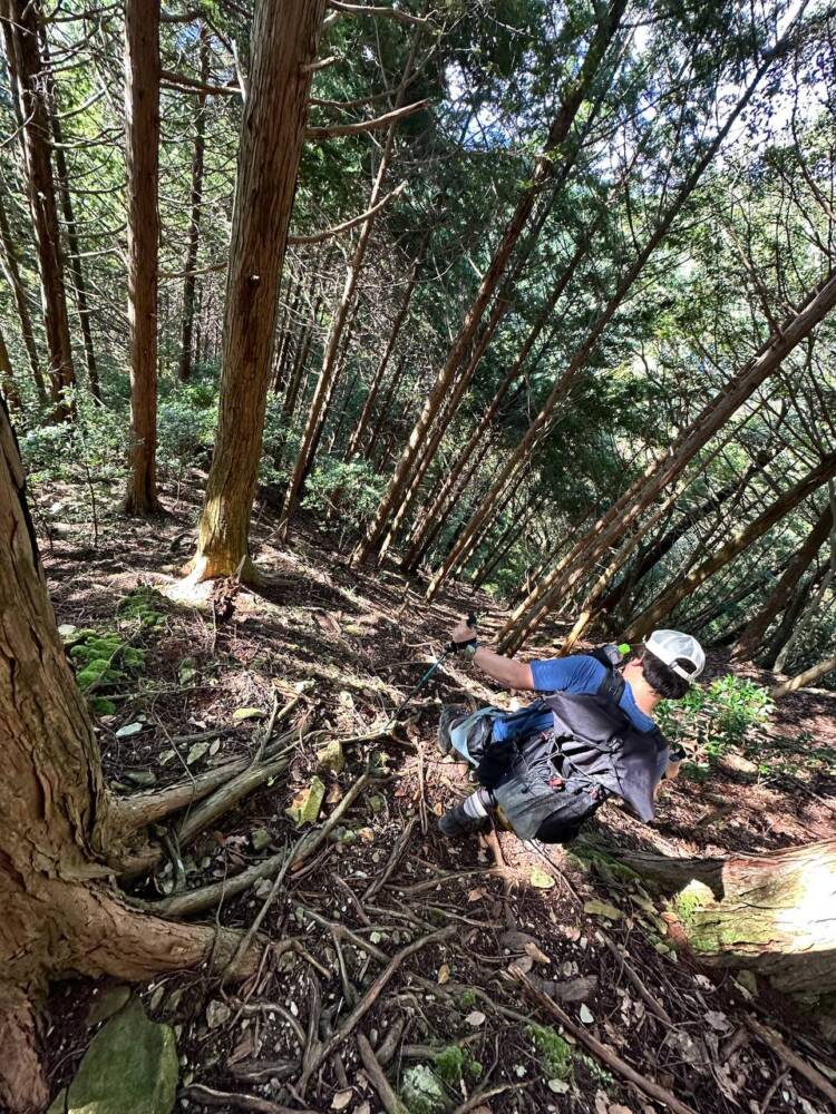 過去一番に精神的に辛かった登山になった『大塔山』