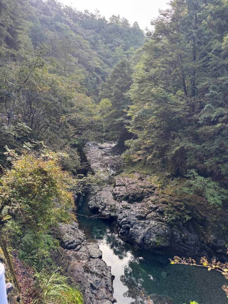 過去一番に精神的に辛かった登山になった『大塔山』