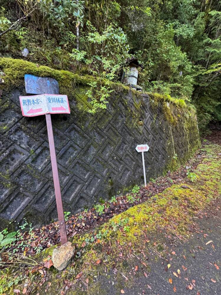 過去一番に精神的に辛かった登山になった『大塔山』