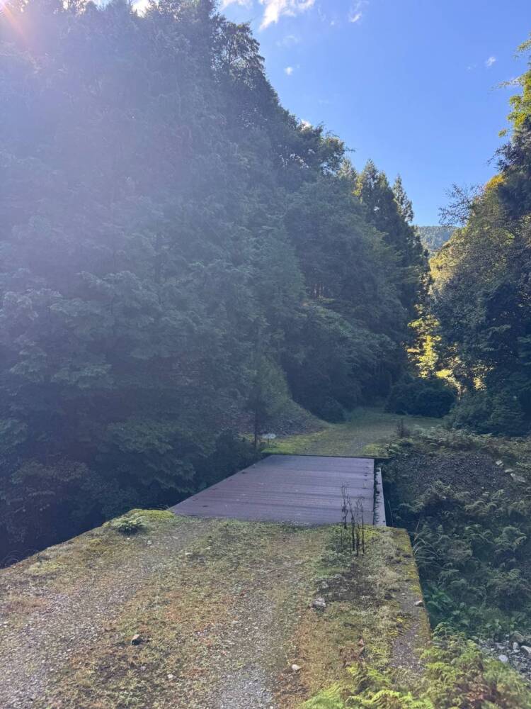 過去一番に精神的に辛かった登山になった『大塔山』