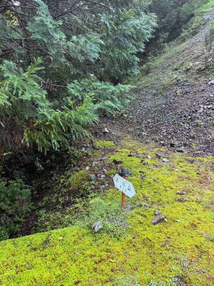 過去一番に精神的に辛かった登山になった『大塔山』
