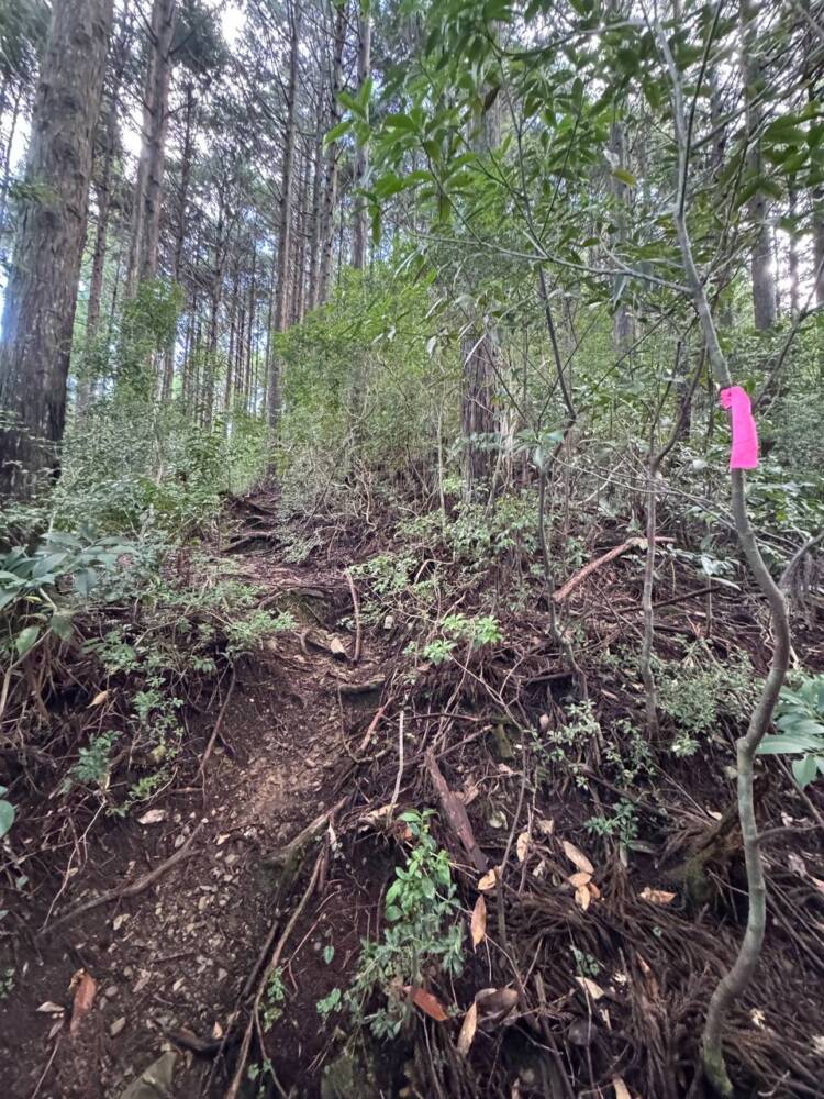 過去一番に精神的に辛かった登山になった『大塔山』