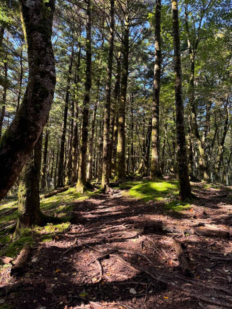 稜線の絶景広がる四国の名峰『三嶺』がとても美しかった