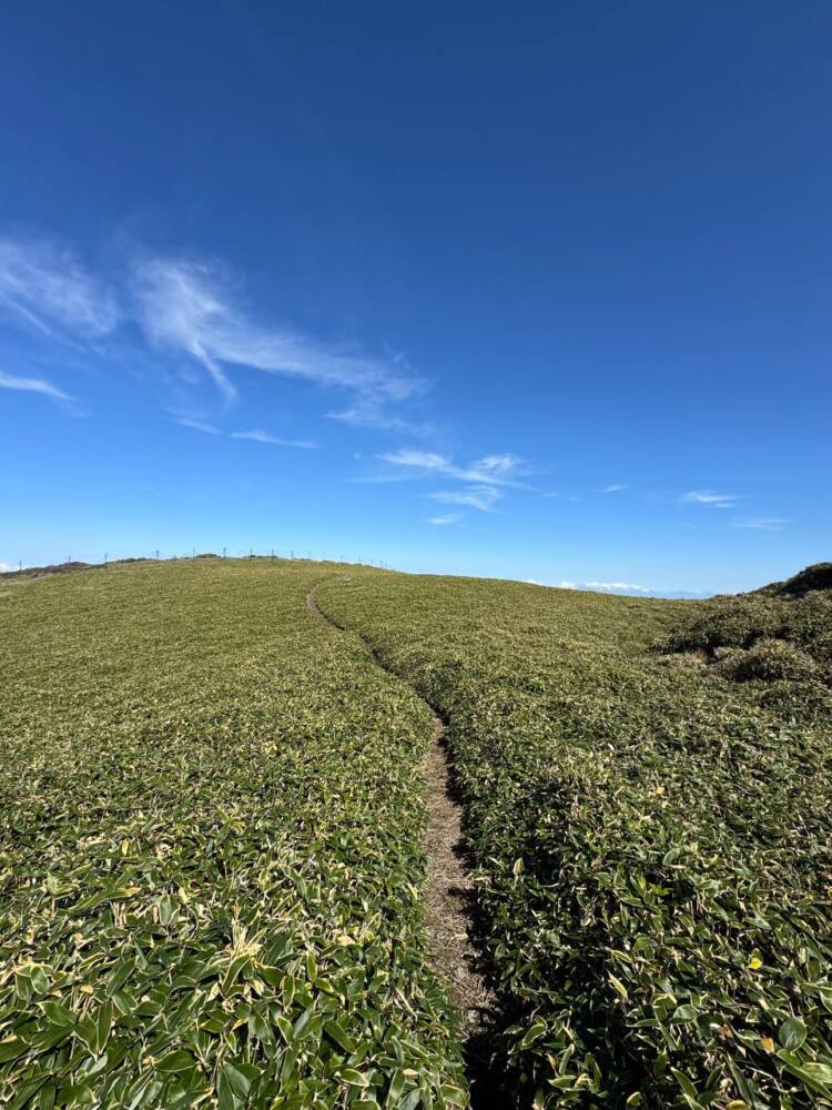 稜線の絶景広がる四国の名峰『三嶺』がとても美しかった