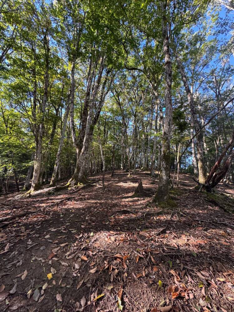 稜線の絶景広がる四国の名峰『三嶺』がとても美しかった