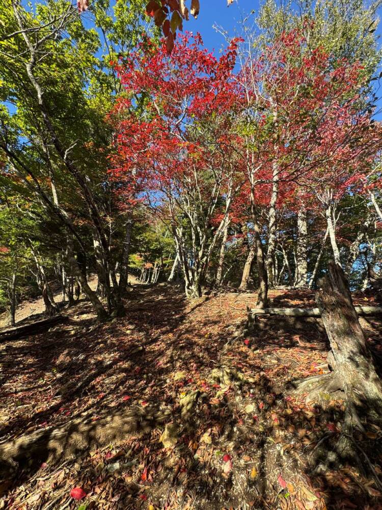 稜線の絶景広がる四国の名峰『三嶺』がとても美しかった