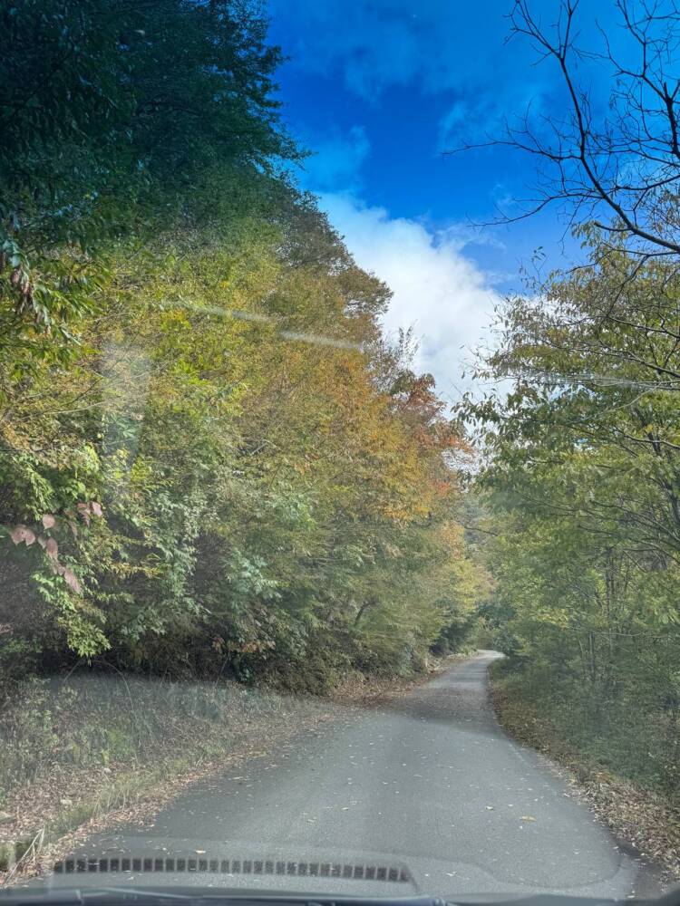 気持ちよい絶景の尾根道が楽しめる登山 『段ヶ峰』