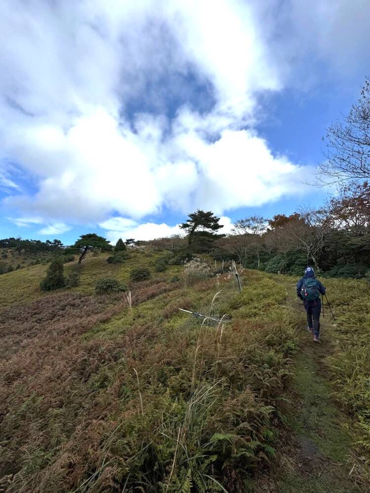 気持ちよい絶景の尾根道が楽しめる登山 『段ヶ峰』