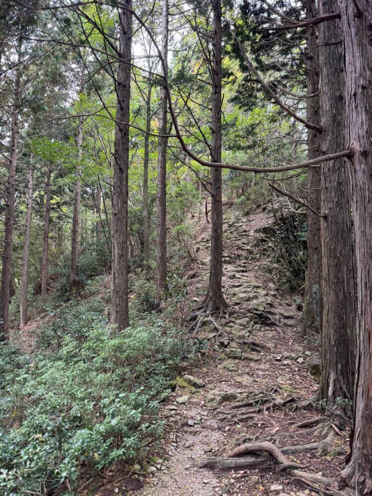 全身で岩登りを楽しめる日本三彦山の修験道の地『雪彦山』