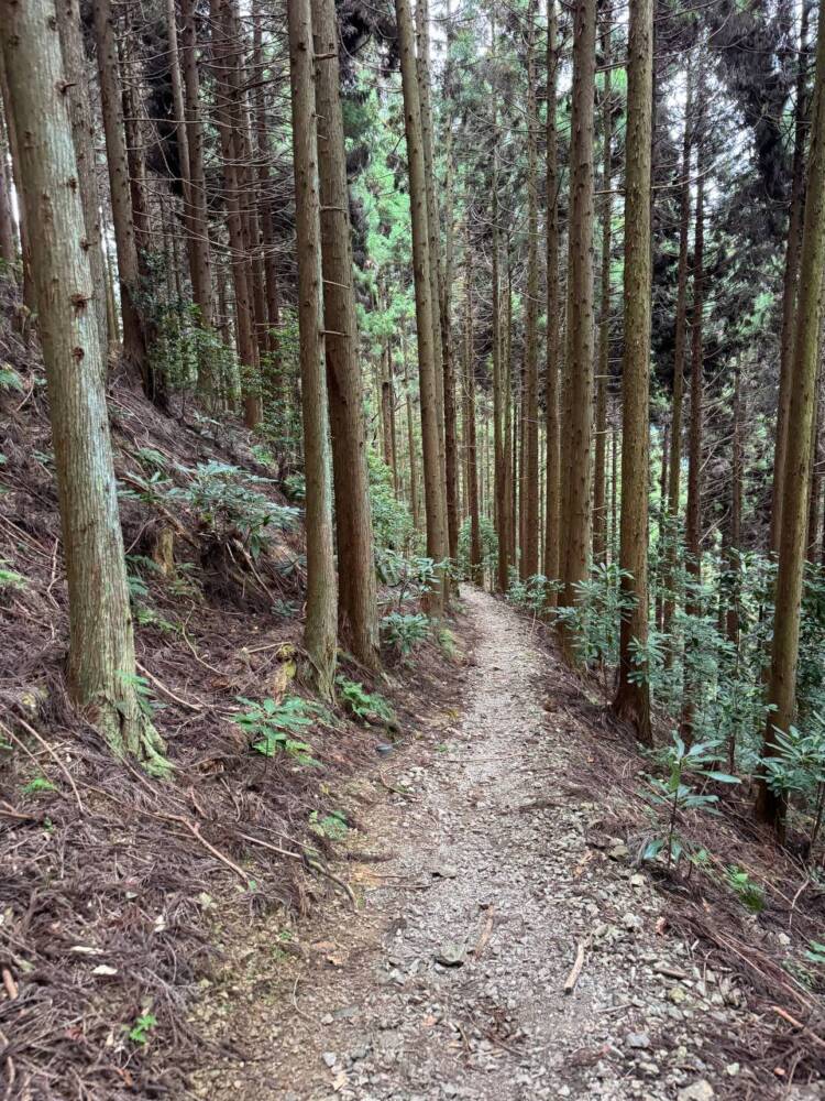 全身で岩登りを楽しめる日本三彦山の修験道の地『雪彦山』