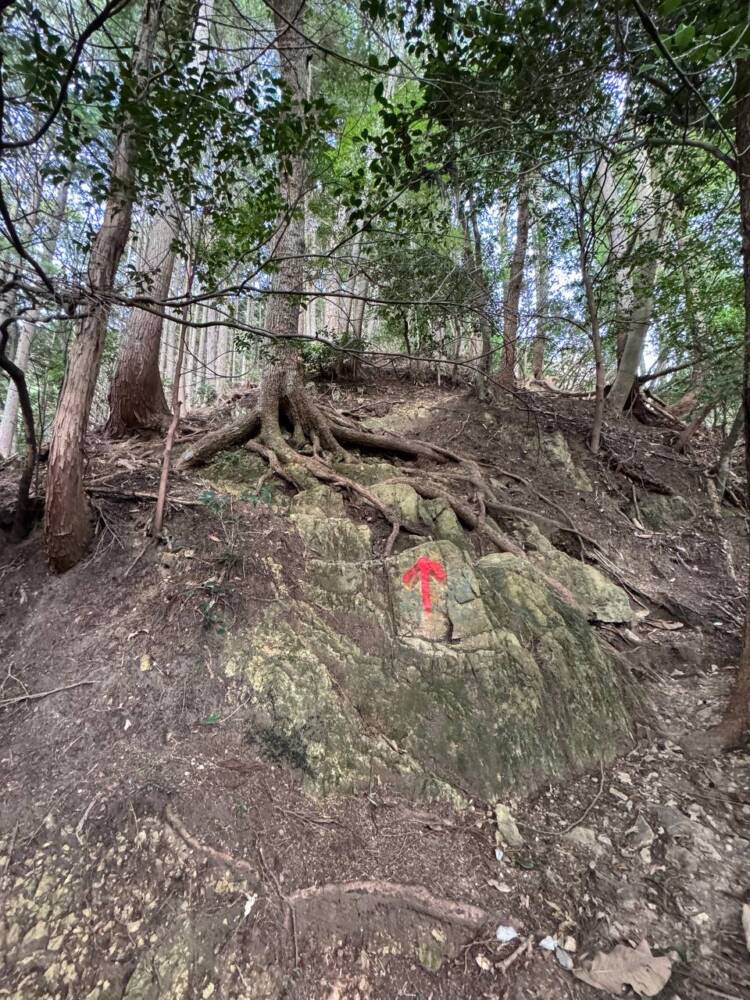 全身で岩登りを楽しめる日本三彦山の修験道の地『雪彦山』