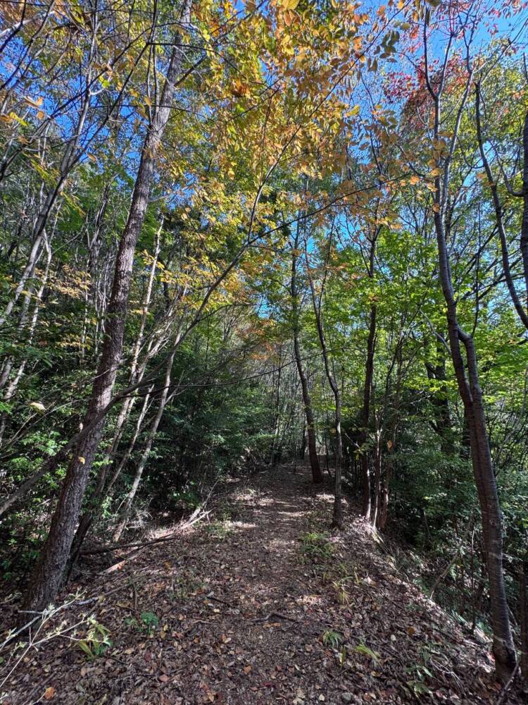 各務原アルプスを一気に19座!! 全山攻略方法をご紹介