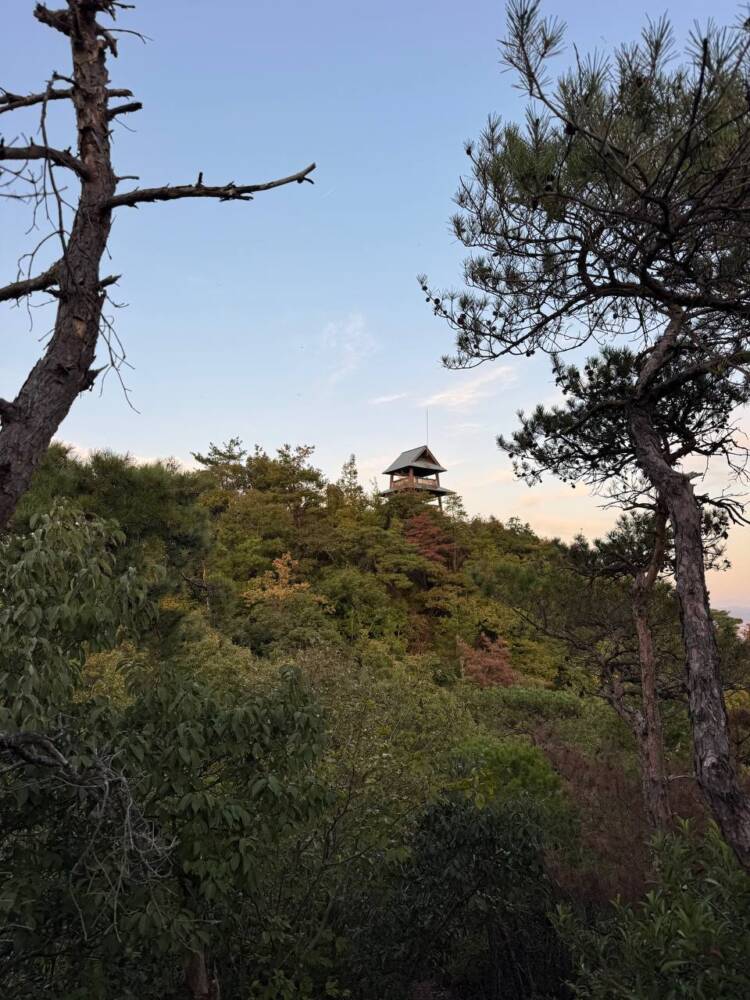 各務原アルプスを一気に19座!! 全山攻略方法をご紹介