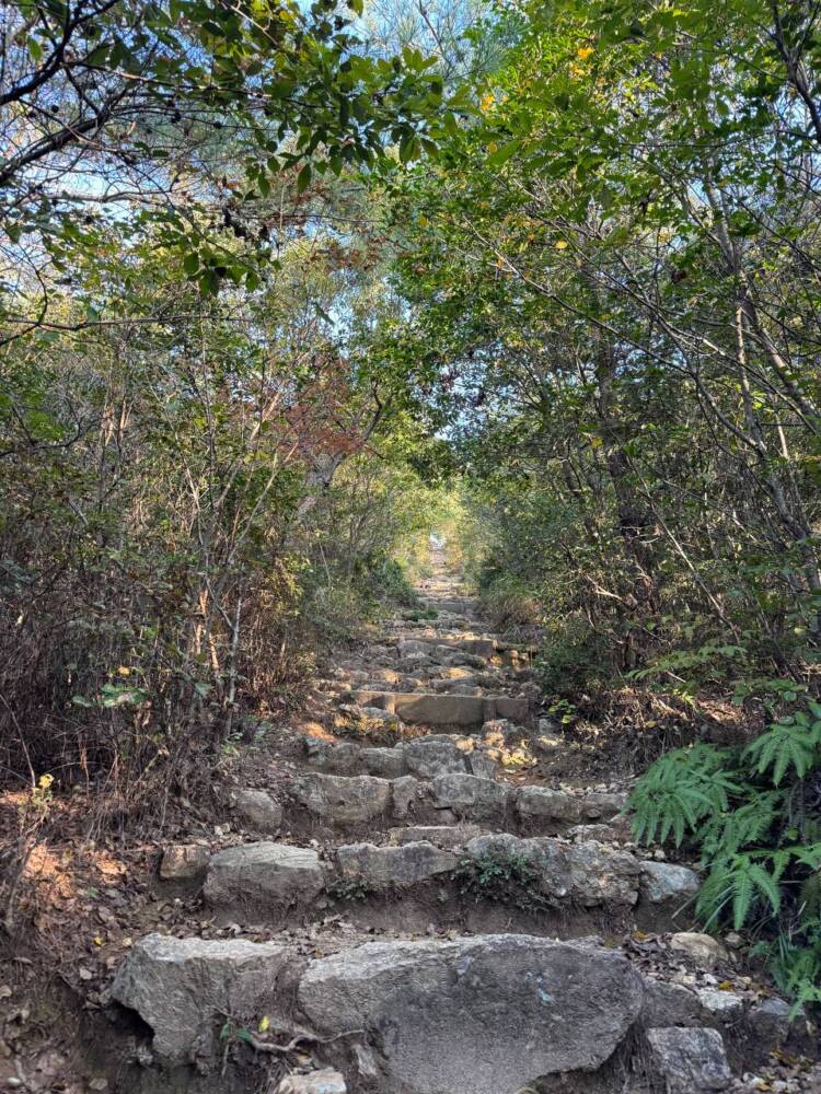 各務原アルプスを一気に19座!! 全山攻略方法をご紹介