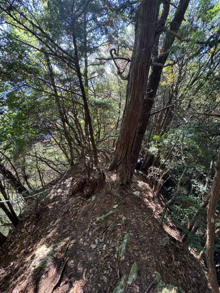 関西百名山ラストスパート!大峰奥駆道『五大尊岳』に挑んできました