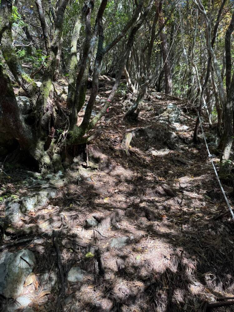 関西百名山ラストスパート!大峰奥駆道『五大尊岳』に挑んできました