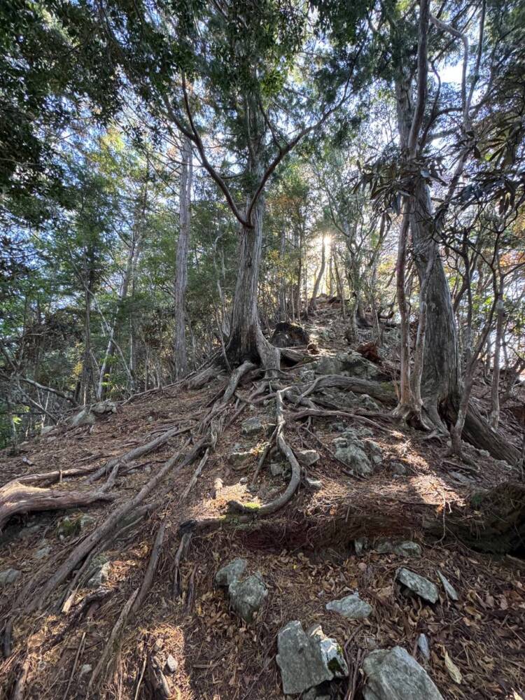 関西百名山ラストスパート!大峰奥駆道『五大尊岳』に挑んできました