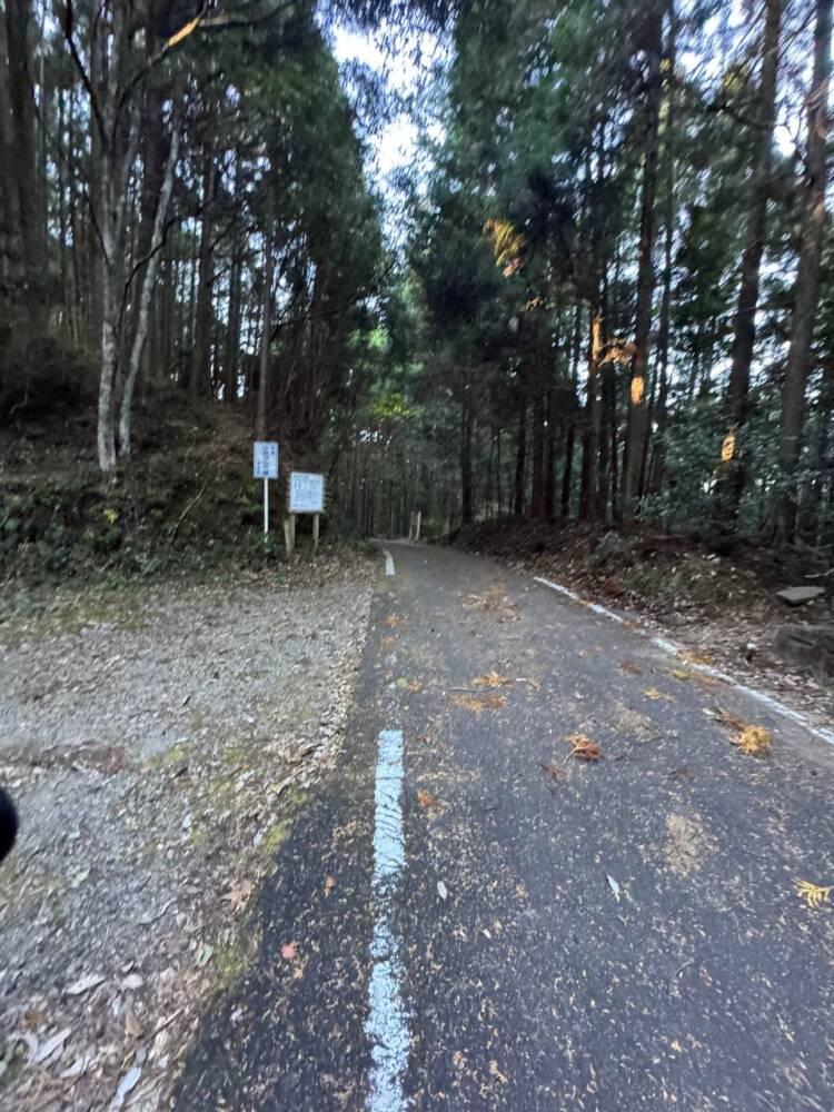 関西百名山ラストスパート!大峰奥駆道『五大尊岳』に挑んできました