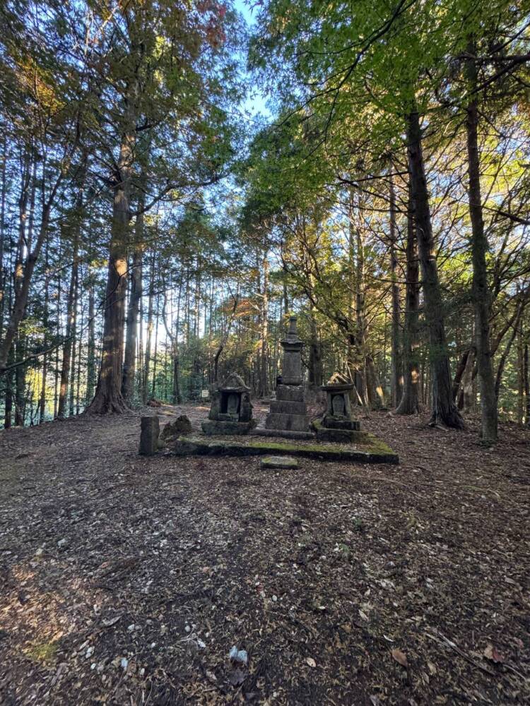 関西百名山ラストスパート!大峰奥駆道『五大尊岳』に挑んできました