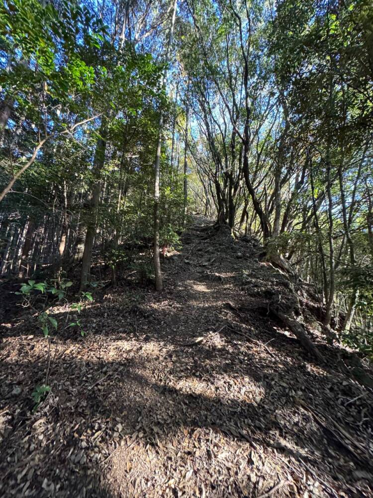 関西百名山ラストスパート!大峰奥駆道『五大尊岳』に挑んできました