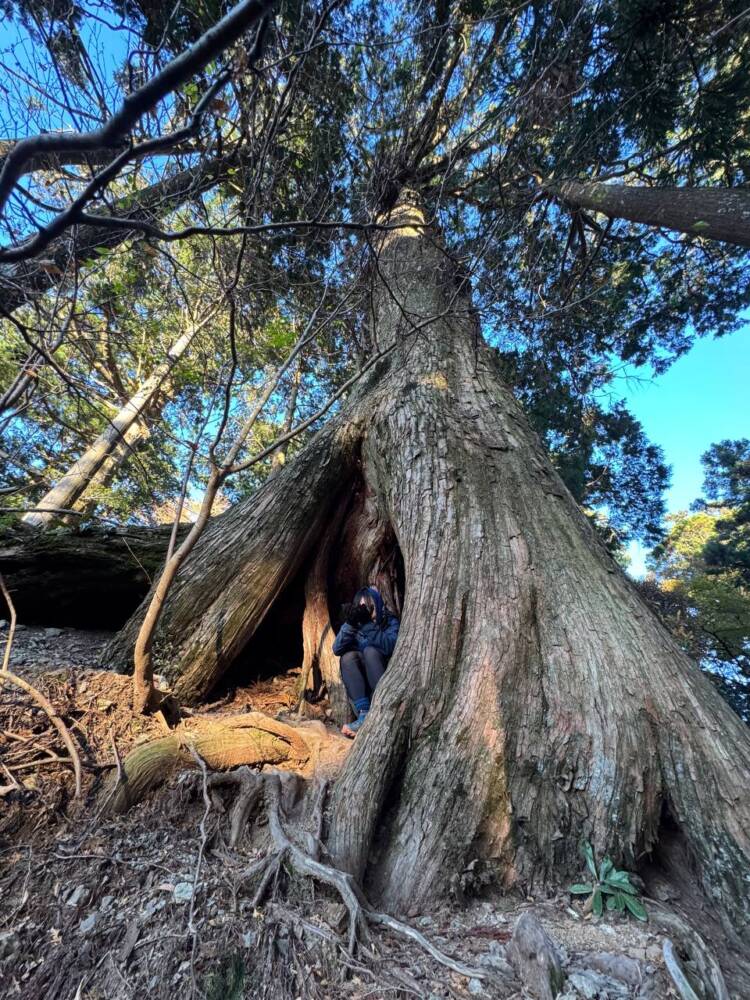 呼ばれないと行けない霊峰『玉置山』で関西百名山を完全制覇！