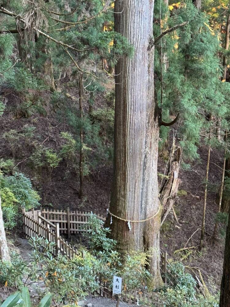 呼ばれないと行けない霊峰『玉置山』で関西百名山を完全制覇！