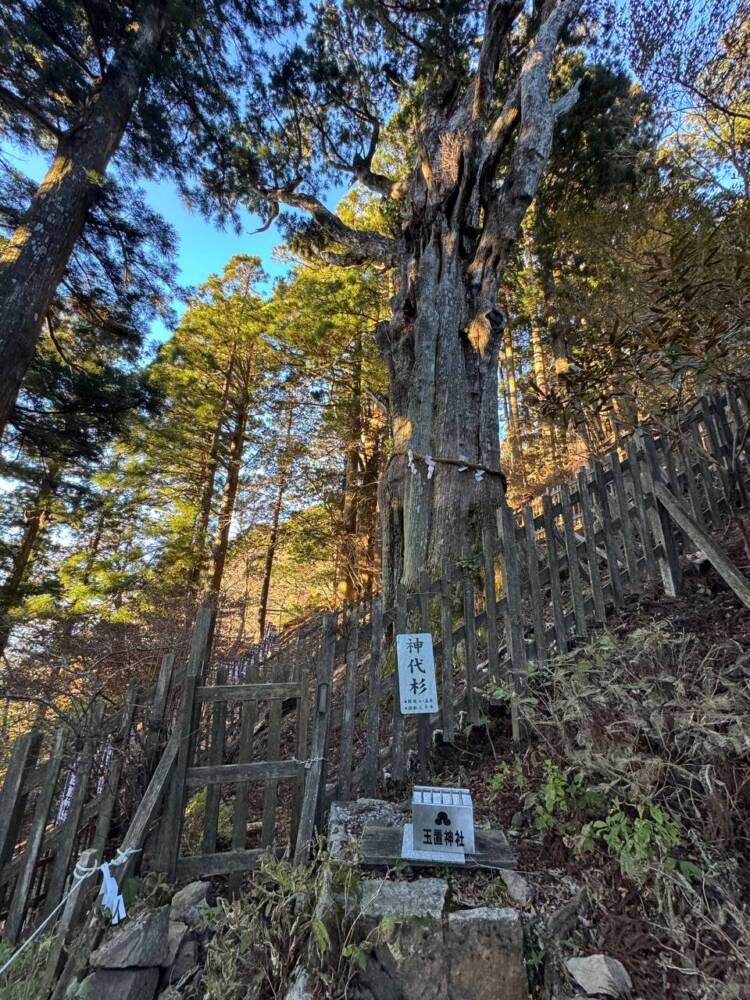 呼ばれないと行けない霊峰『玉置山』で関西百名山を完全制覇！