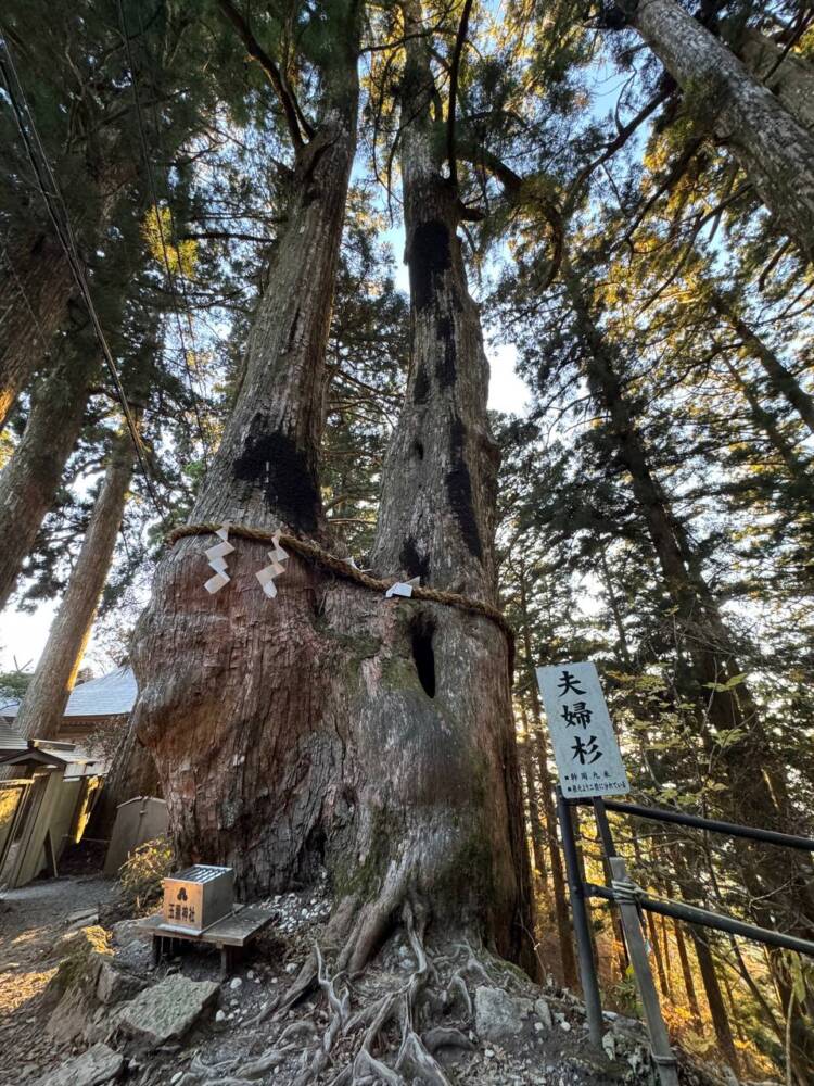 呼ばれないと行けない霊峰『玉置山』で関西百名山を完全制覇！