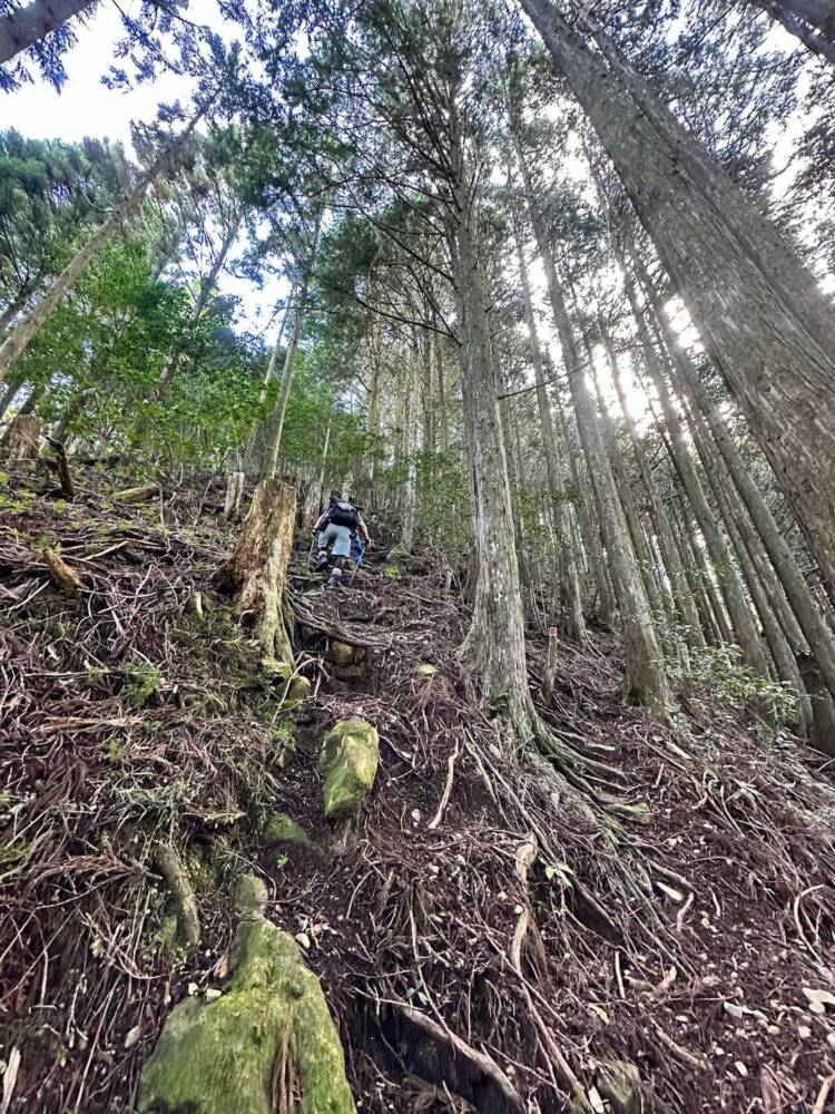 関西百名山 全山解説