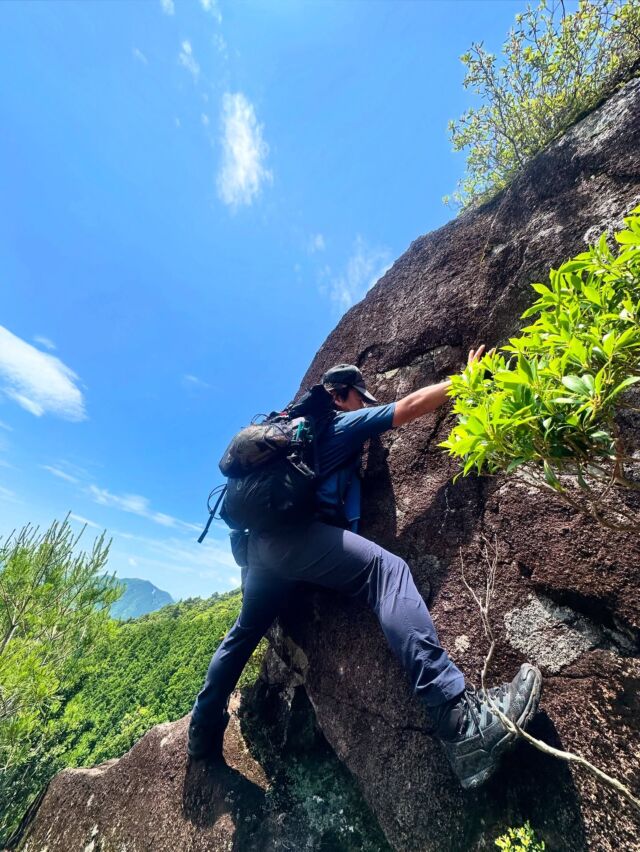 和歌山新宮の烏帽子山😃意外に面白かった！和歌山県の新宮と那智勝浦の境界にある新日本百名山と関西百名山に選定された山。集落跡地や名前のついた岩が多く残り、不思議な空間です。山名通り遠くからでも分かりやすい山容です。昭和40年ごろの集落跡地がそのまま残る山は意外な発見もあるかも知れません。そんな烏帽子山へのアクセス、登山情報はプロフィールのリンク先から見れます😃#烏帽子山 #関西百名山 #新日本百名山 #登山 #登山記me