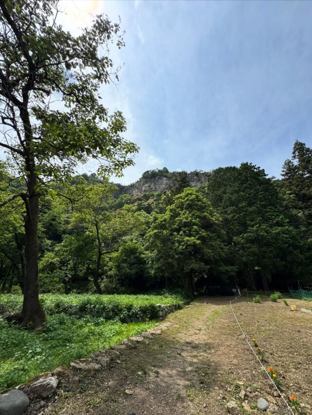 岐阜のグランドキャニオン😃登ってきます！#登山 #山登り #遠見山 #グランドキャニオン