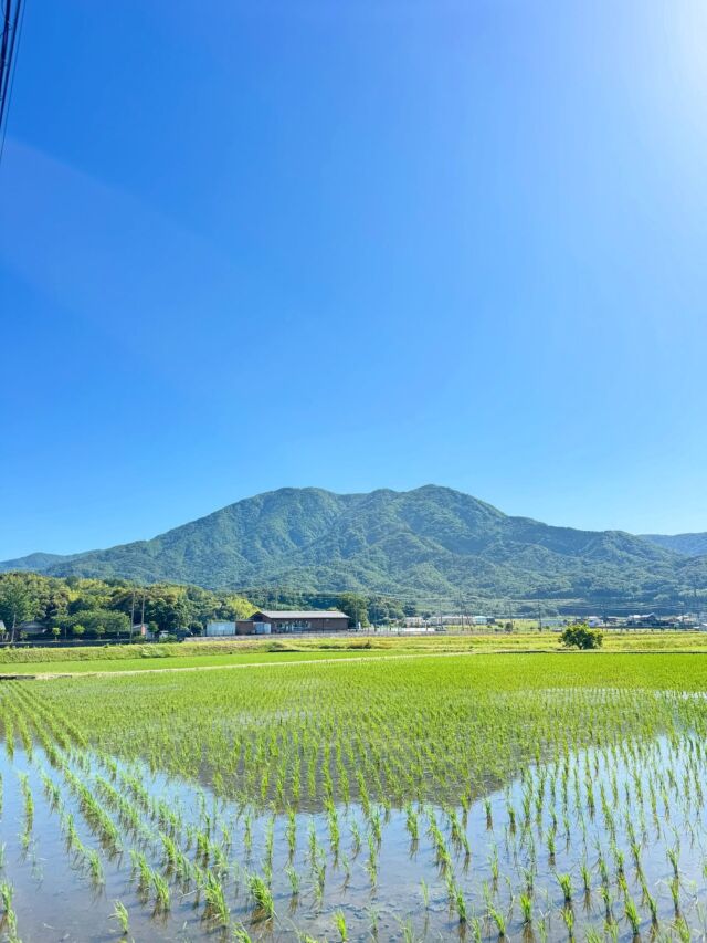 関西百名山『野坂岳』めっちゃ登りやすかった😃福井県敦賀市にある関西百名山、近畿百名山の山。美しい山容から「つるが富士」とも呼ばれ標高は913mとなっています。登山道はしっかり整備されとても登りやすく地元に愛された山でした。そんな野坂岳へのアクセス、登山情報はプロフィールのリンク先から見れます😃#野坂岳 #敦賀市 #関西百名山 #登山 #登山記me #yamap55