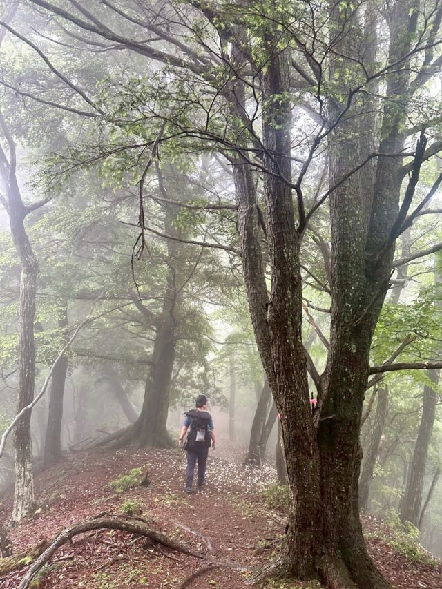 関西百名山『笠形山』真っ白だった😭兵庫県播磨の北部に位置する関西百名山の山で別名播磨富士とも呼ばれる笠形山。標高は939mで、山に潜む鬼「天邪鬼」伝説などが残りあまんじゃくとも呼ばれ信仰の山となっています。そんな笠形山へのアクセス、登山情報はプロフィールのリンク先から見れます😃#笠形山 #関西百名山 #登山 #山登り #登山記me