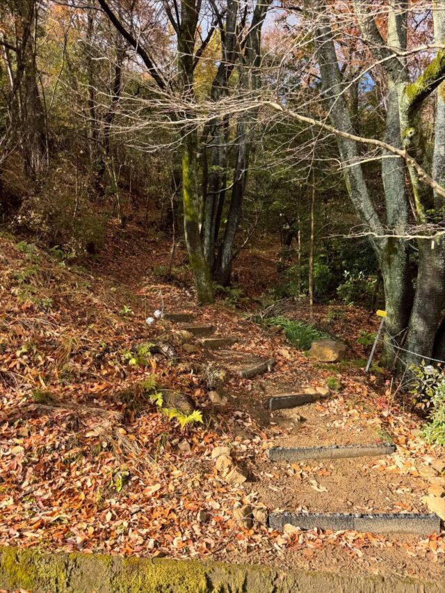 2本目、八木山😃登ってきます！  #東海百名山 #登山